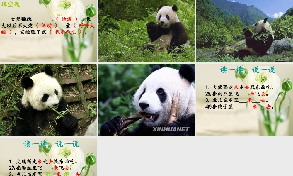 一年级语文下册 第2单元 7《大熊猫》课件1 语文S版-语文S版小学一年级下册语文课件