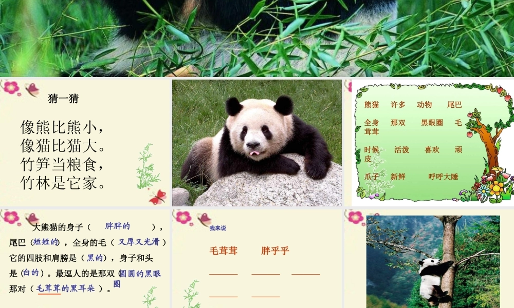 一年级语文下册 第2单元 7《大熊猫》课件2 语文S版-语文S版小学一年级下册语文课件