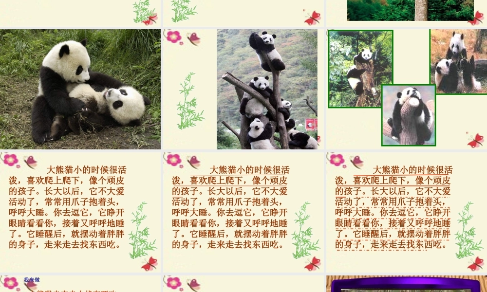 一年级语文下册 第2单元 7《大熊猫》课件2 语文S版-语文S版小学一年级下册语文课件