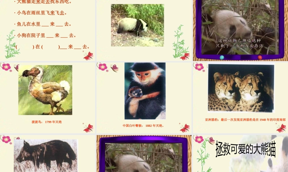 一年级语文下册 第2单元 7《大熊猫》课件2 语文S版-语文S版小学一年级下册语文课件