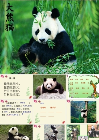 一年级语文下册 第2单元 7《大熊猫》课件2 语文S版-语文S版小学一年级下册语文课件