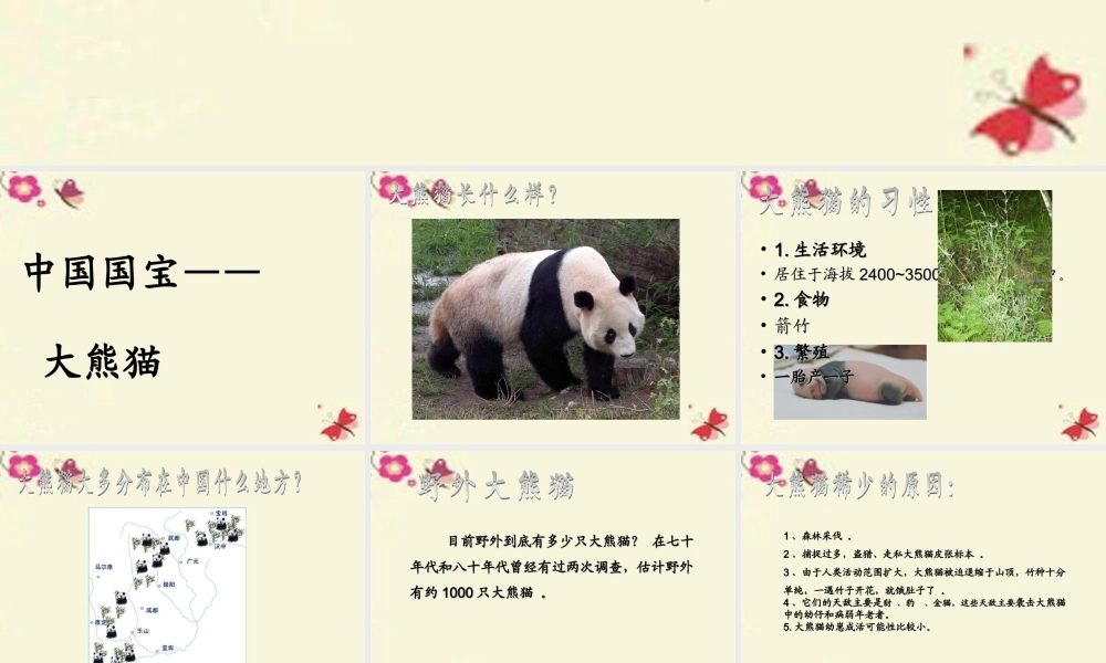 一年级语文下册 第2单元 7《大熊猫》课件3 语文S版-语文S版小学一年级下册语文课件