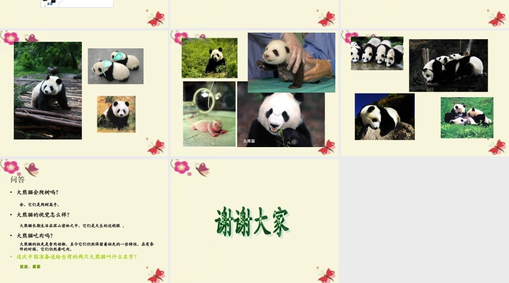 一年级语文下册 第2单元 7《大熊猫》课件3 语文S版-语文S版小学一年级下册语文课件