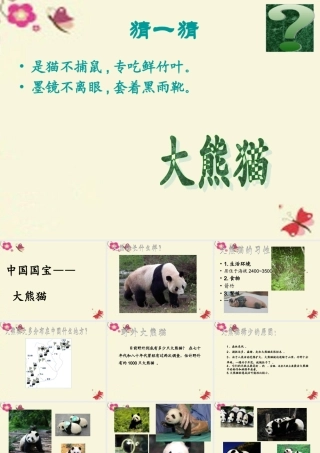 一年级语文下册 第2单元 7《大熊猫》课件3 语文S版-语文S版小学一年级下册语文课件