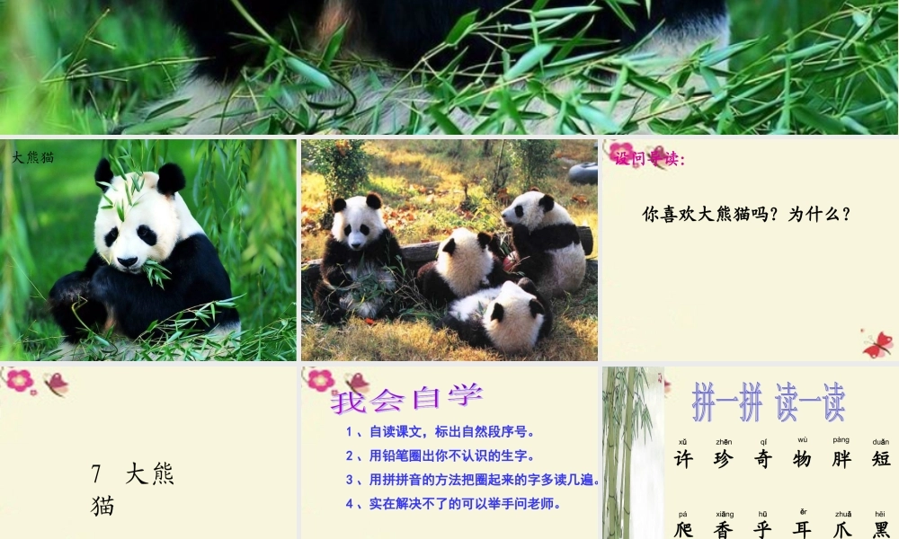 一年级语文下册 第2单元 7《大熊猫》课件5 语文S版-语文S版小学一年级下册语文课件