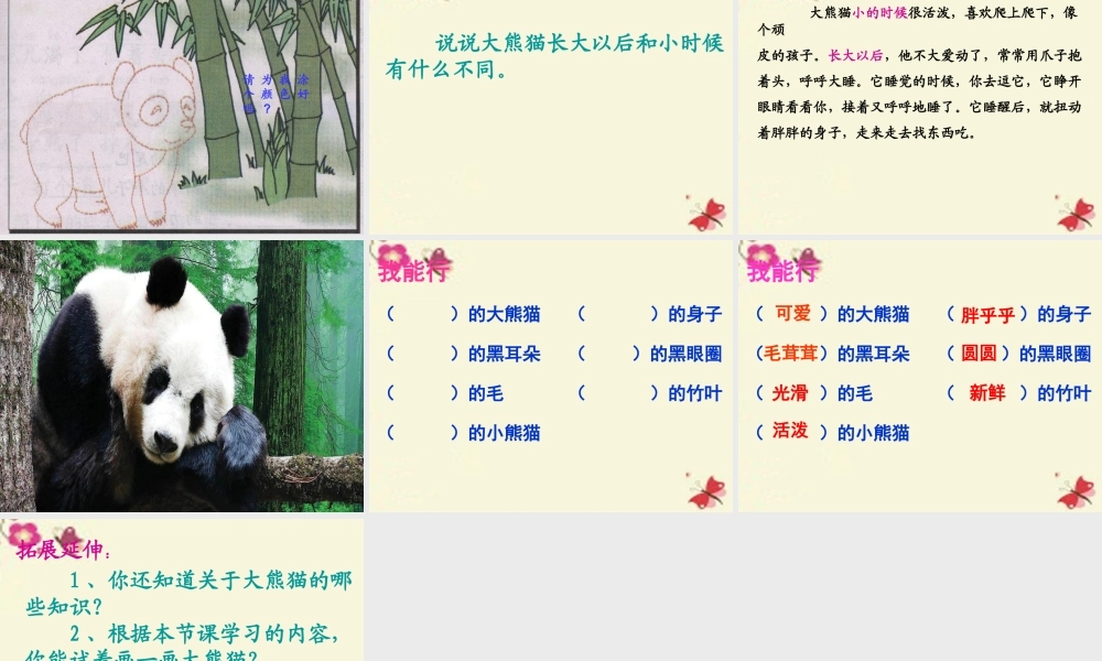 一年级语文下册 第2单元 7《大熊猫》课件5 语文S版-语文S版小学一年级下册语文课件