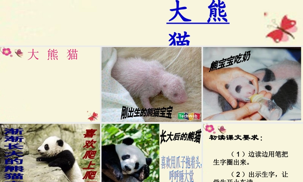 一年级语文下册 第2单元 7《大熊猫》课件7 语文S版-语文S版小学一年级下册语文课件