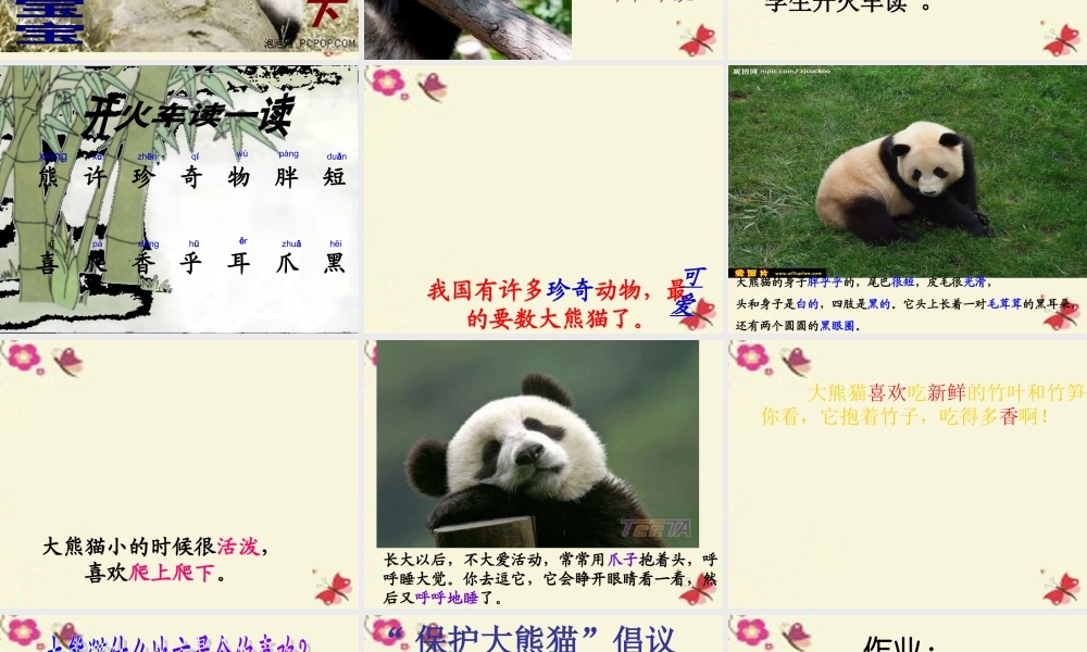 一年级语文下册 第2单元 7《大熊猫》课件7 语文S版-语文S版小学一年级下册语文课件