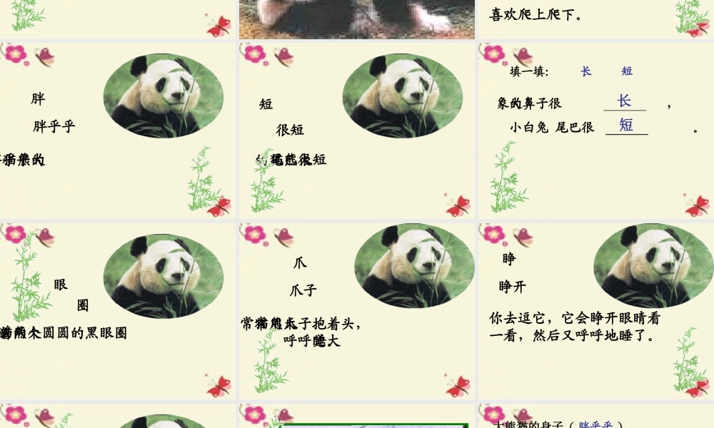 一年级语文下册 第2单元 7《大熊猫》课件8 语文S版-语文S版小学一年级下册语文课件