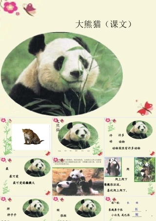 一年级语文下册 第2单元 7《大熊猫》课件8 语文S版-语文S版小学一年级下册语文课件