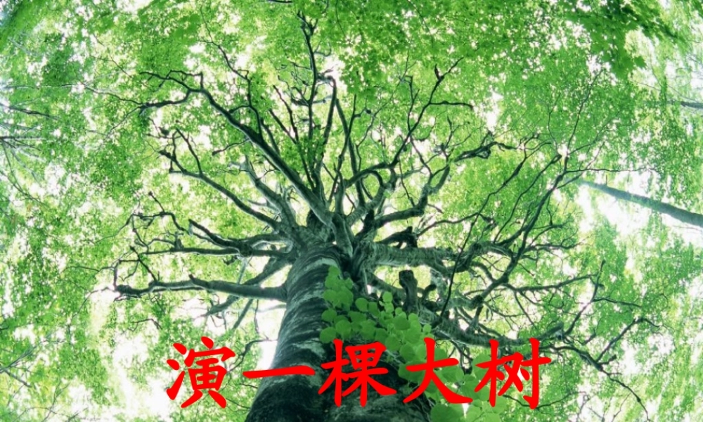 一年级语文下册 第2单元 8《演一棵大树》课件1 语文S版-语文S版小学一年级下册语文课件