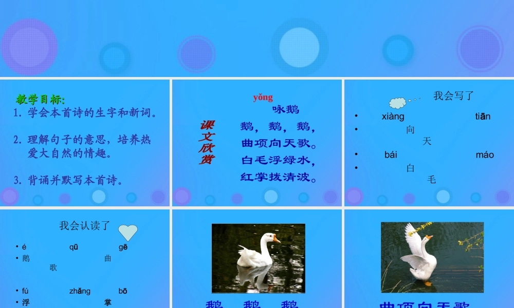 一年级语文上册《识字二》课件1 教科版-教科版小学一年级上册语文课件