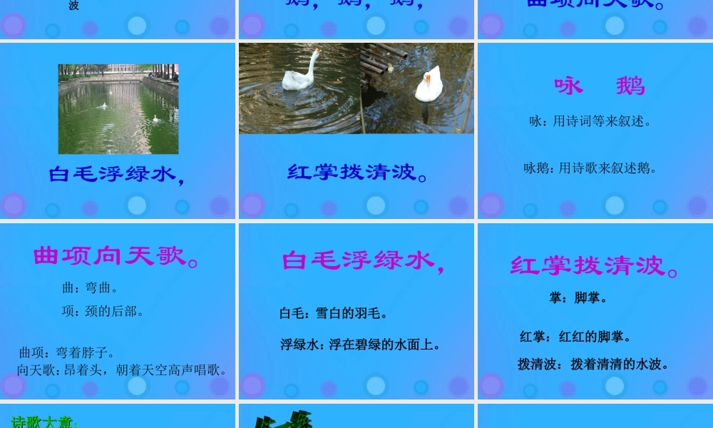 一年级语文上册《识字二》课件1 教科版-教科版小学一年级上册语文课件