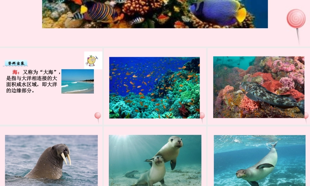 一年级语文下册 第5单元《在海里》课件 长春版-长春版小学一年级下册语文课件
