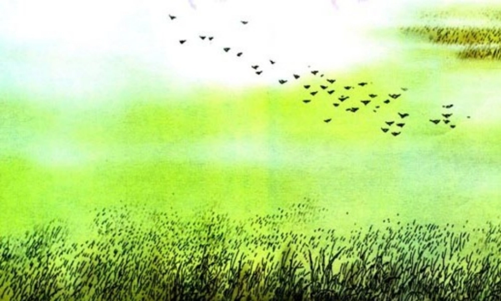 一年级语文下册 第5课《古诗二首》（春晓 离离原上草）课件2 冀教版-冀教版小学一年级下册语文课件