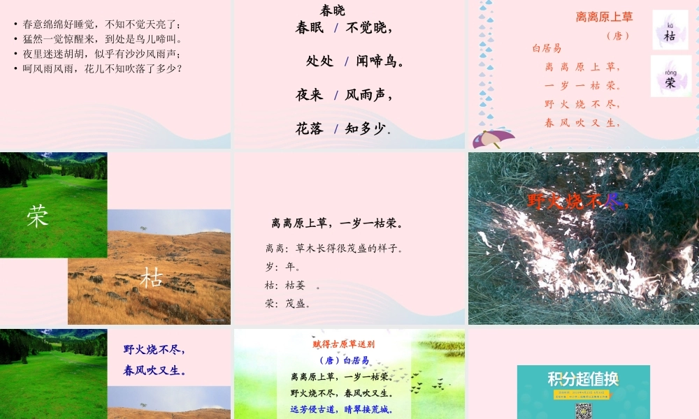 一年级语文下册 第5课《古诗二首》（春晓 离离原上草）课件2 冀教版-冀教版小学一年级下册语文课件