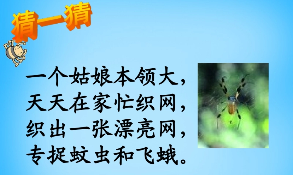 一年级语文上册《蜘蛛织网》课件1 语文A版-语文A版小学一年级上册语文课件