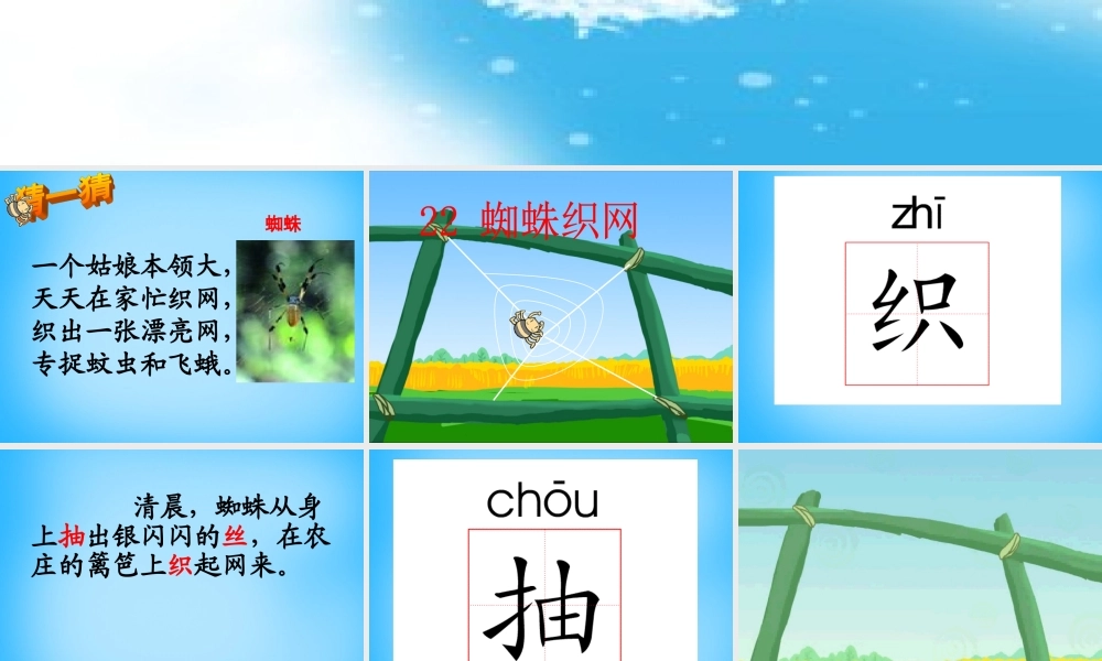 一年级语文上册《蜘蛛织网》课件3 语文A版-语文A版小学一年级上册语文课件