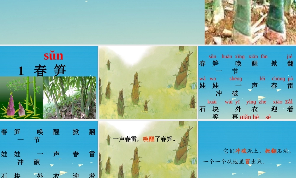 一年级语文下册 1 春笋课件2 苏教版-苏教版小学一年级下册语文课件