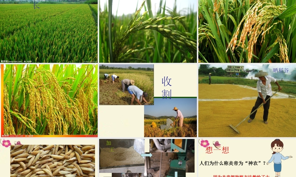 一年级语文下册 第6单元 26《炎帝的传说》课件3 语文S版-语文S版小学一年级下册语文课件