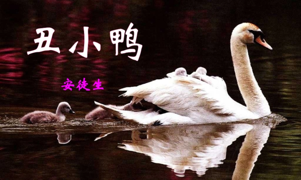 一年级语文下册 第6单元 28《丑小鸭（一）》课件7 语文S版-语文S版小学一年级下册语文课件