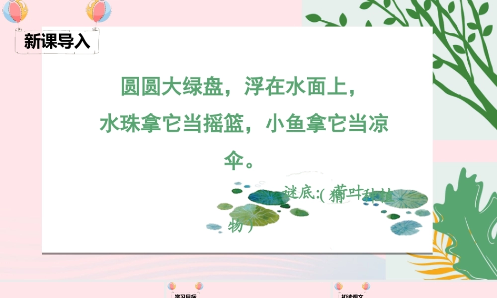 一年级语文下册 课文 4 13《荷叶圆圆》课堂教学课件 新人教版-新人教版小学一年级下册语文课件