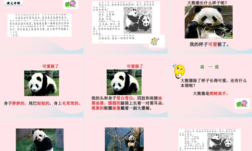 一年级语文下册 第2单元《大熊猫出国》课件1 长春版-长春版小学一年级下册语文课件