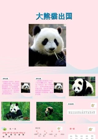 一年级语文下册 第2单元《大熊猫出国》课件1 长春版-长春版小学一年级下册语文课件