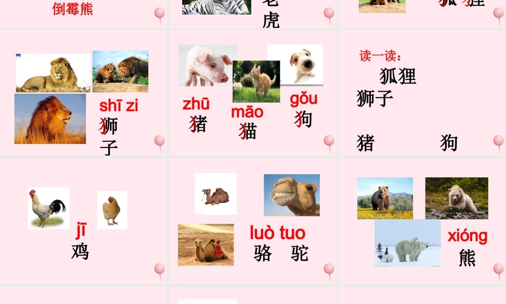 一年级语文下册 第2单元《动物乐园》课件1 长春版-长春版小学一年级下册语文课件