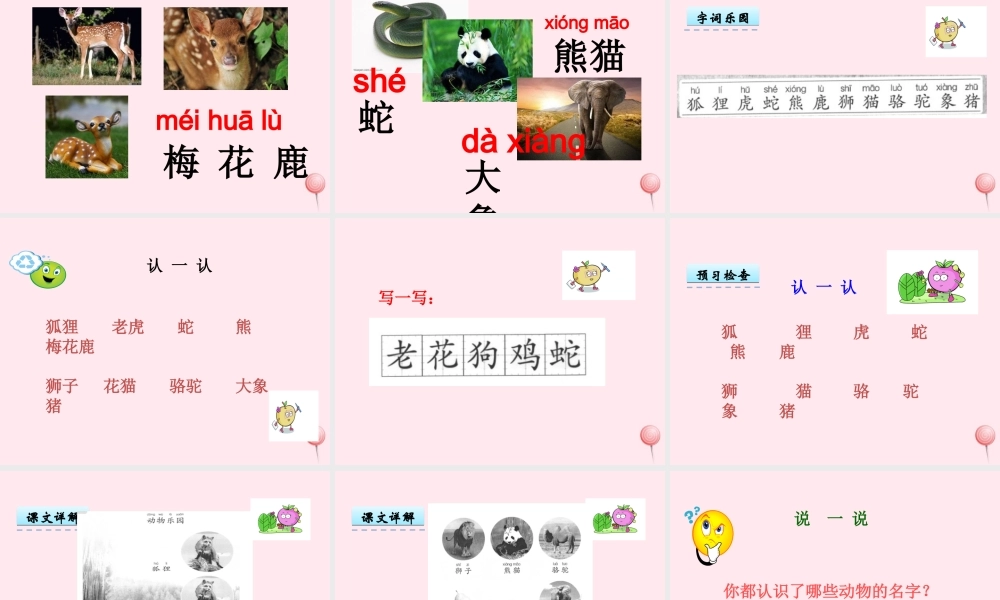 一年级语文下册 第2单元《动物乐园》课件1 长春版-长春版小学一年级下册语文课件
