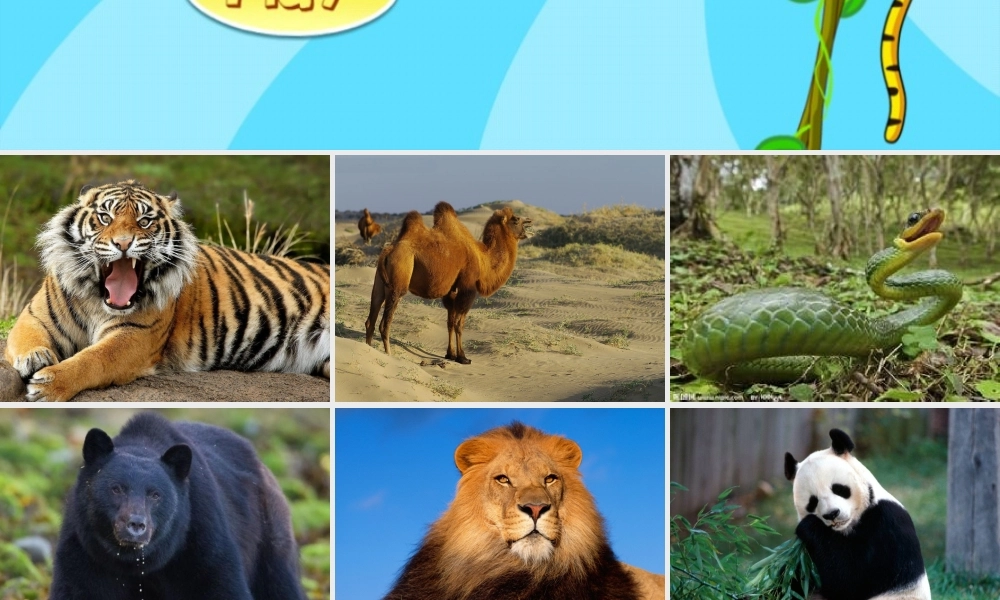 一年级语文下册 第2单元《动物乐园》课件2 长春版-长春版小学一年级下册语文课件