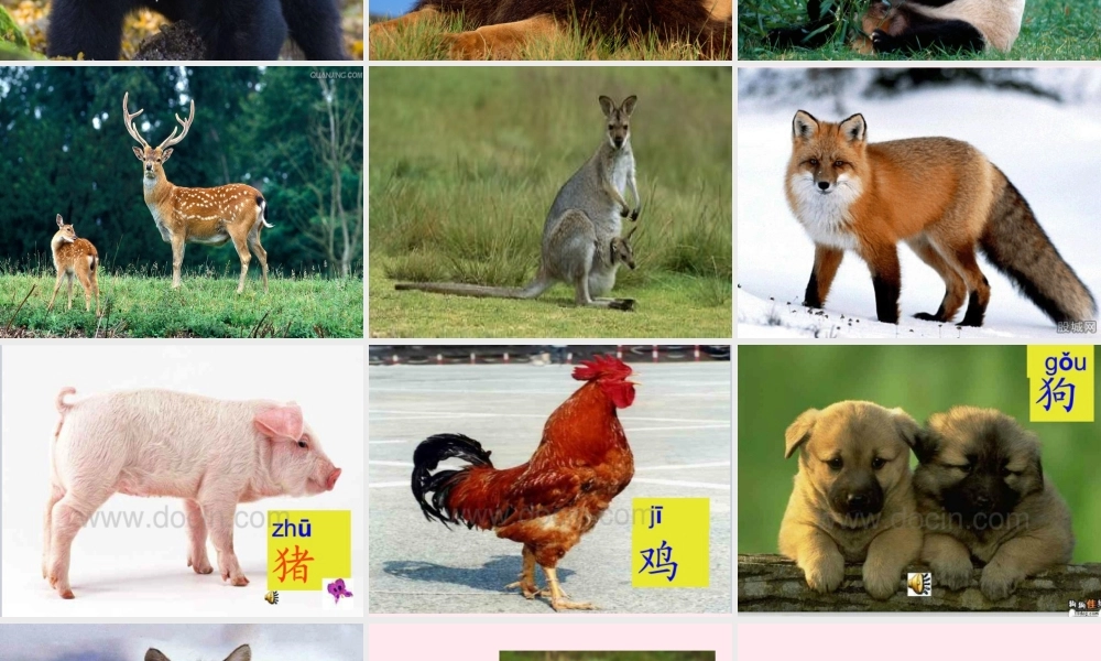 一年级语文下册 第2单元《动物乐园》课件2 长春版-长春版小学一年级下册语文课件