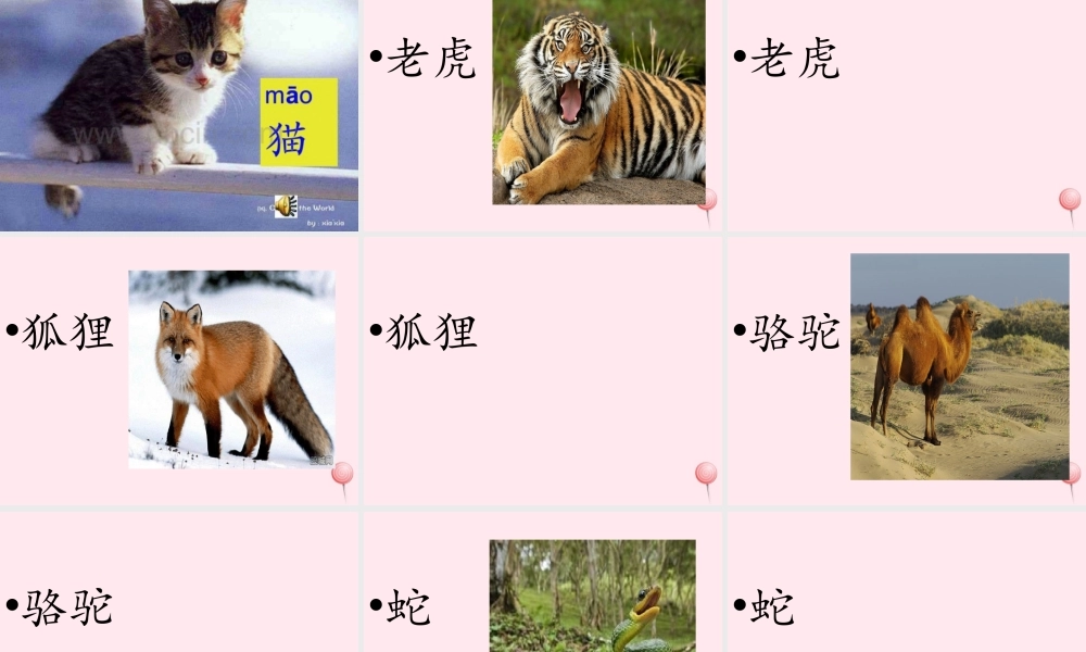 一年级语文下册 第2单元《动物乐园》课件2 长春版-长春版小学一年级下册语文课件