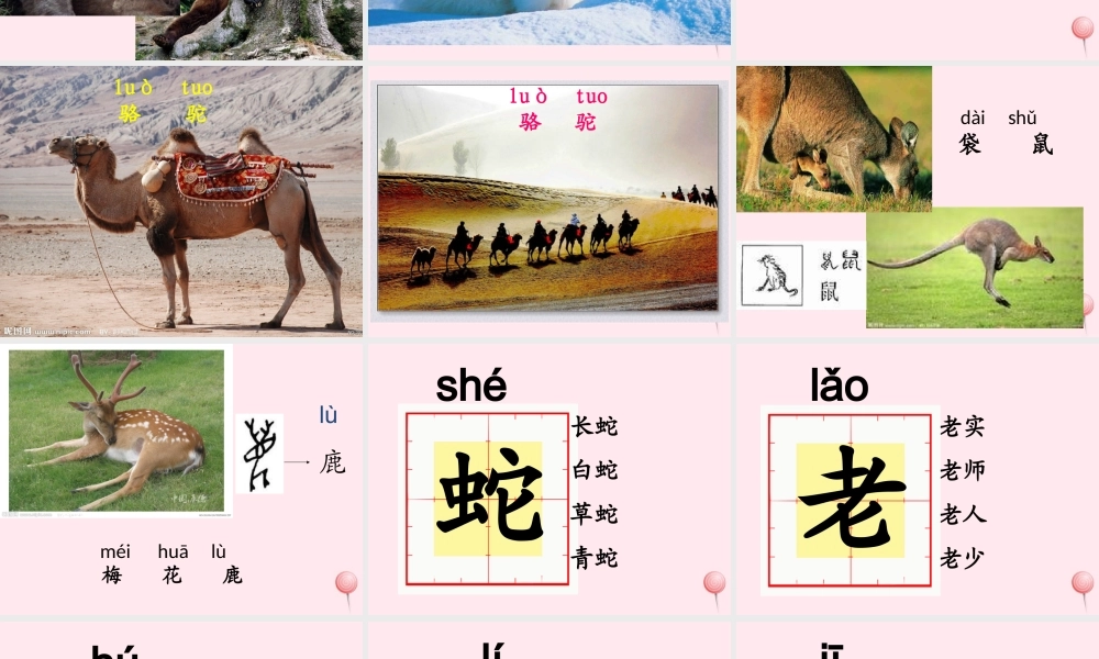 一年级语文下册 第2单元《动物乐园》课件3 长春版-长春版小学一年级下册语文课件