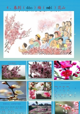 一年级语文下册 4 春到梅花山（第1课时）课件 苏教版-苏教版小学一年级下册语文课件