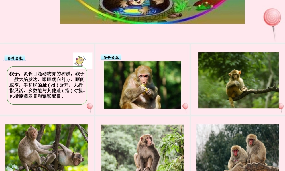 一年级语文下册 第2单元《猴子捞月亮》课件 长春版-长春版小学一年级下册语文课件