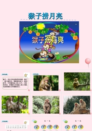 一年级语文下册 第2单元《猴子捞月亮》课件 长春版-长春版小学一年级下册语文课件