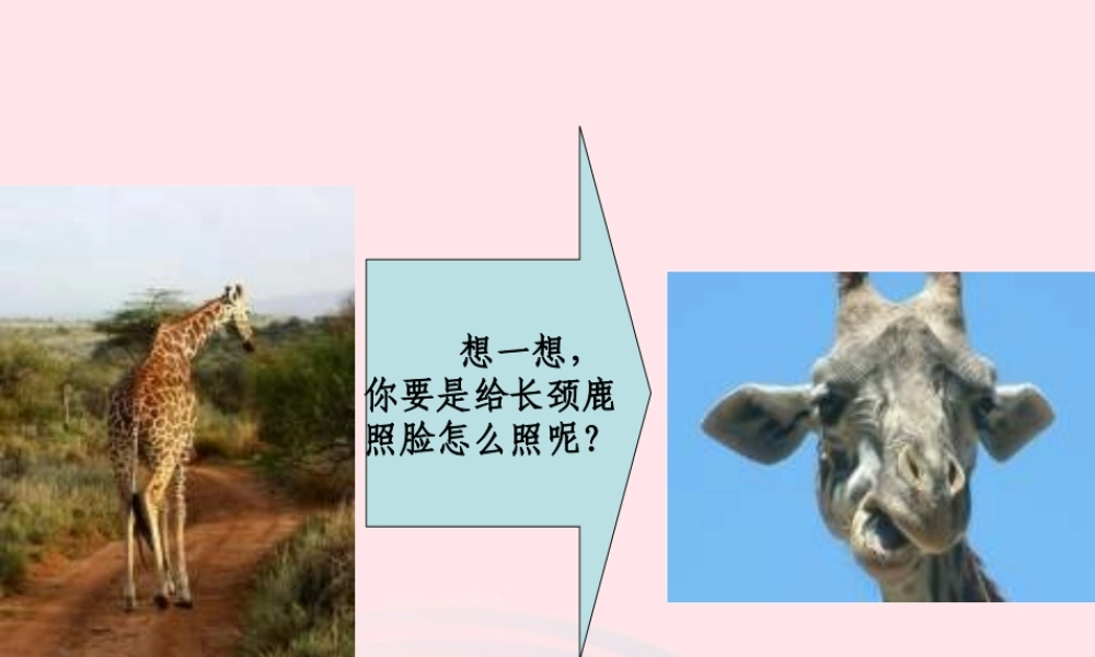 一年级语文下册 第6单元《动脑筋照相》课件 长春版-长春版小学一年级下册语文课件