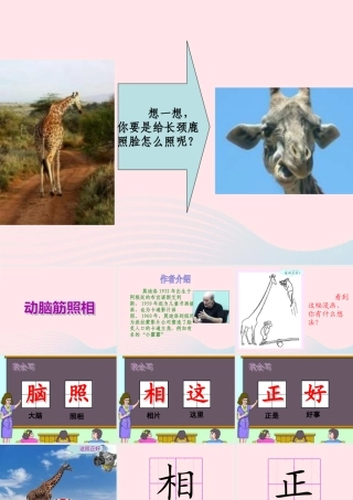 一年级语文下册 第6单元《动脑筋照相》课件 长春版-长春版小学一年级下册语文课件