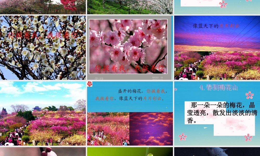 一年级语文下册 4 春到梅花山（第2课时）课件 苏教版-苏教版小学一年级下册语文课件