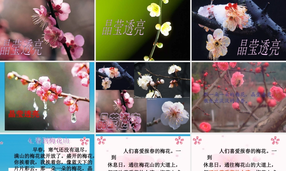 一年级语文下册 4 春到梅花山（第2课时）课件 苏教版-苏教版小学一年级下册语文课件