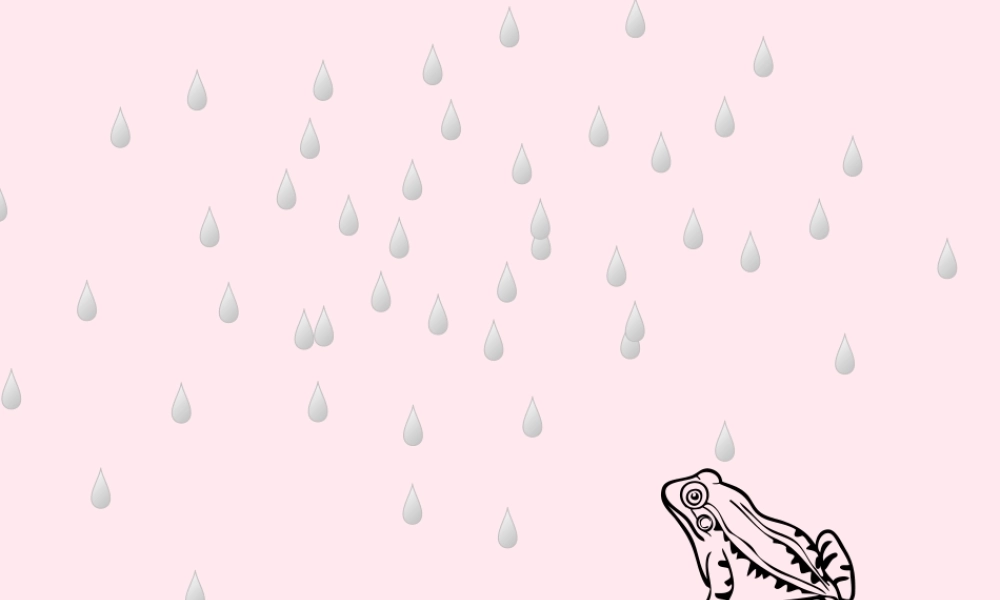 一年级语文下册 第2单元《青蛙写诗》课件3 长春版-长春版小学一年级下册语文课件