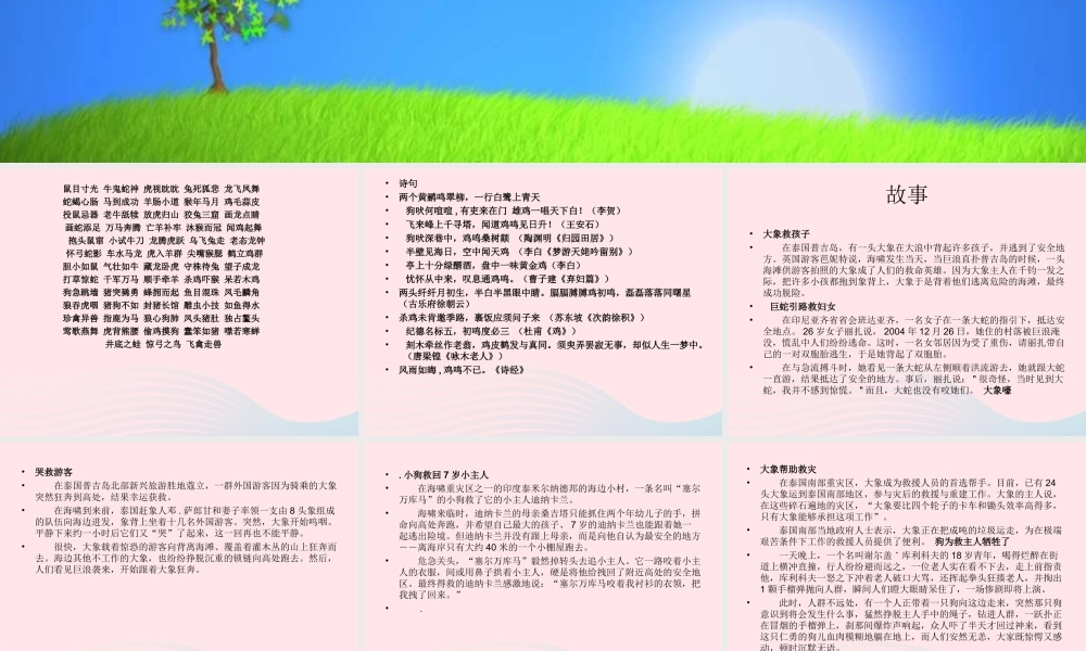 一年级语文下册 第2单元《综合学习活动 动物天地》课件 长春版-长春版小学一年级下册语文课件