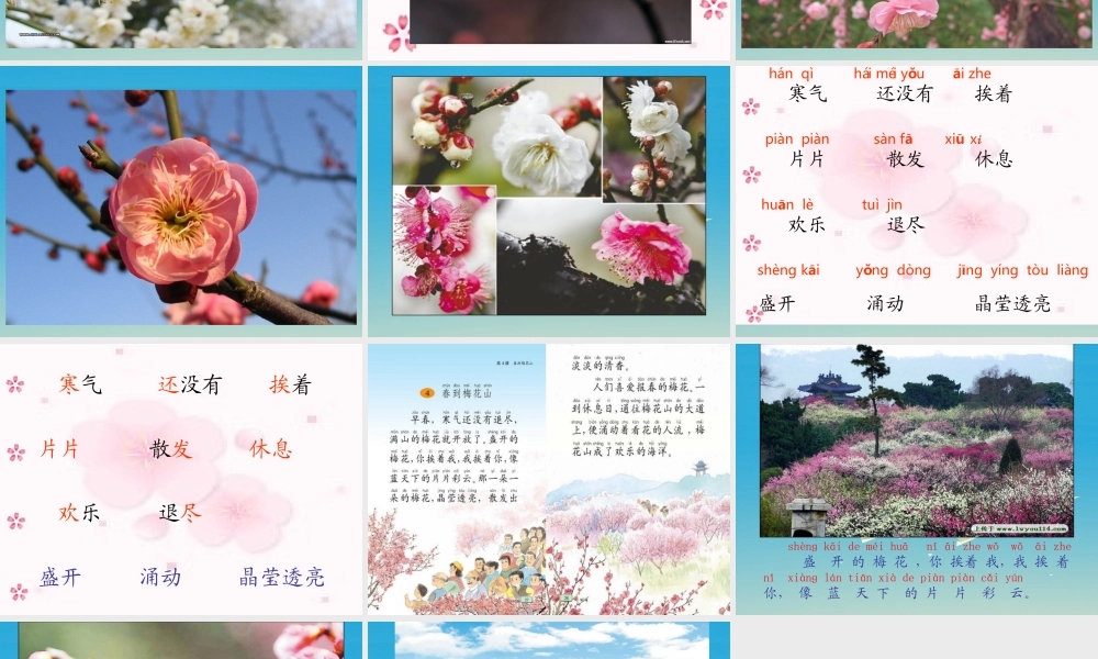 一年级语文下册 4 春到梅花山（第3课时）课件 苏教版-苏教版小学一年级下册语文课件