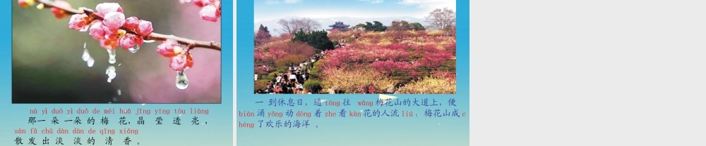 一年级语文下册 4 春到梅花山（第3课时）课件 苏教版-苏教版小学一年级下册语文课件