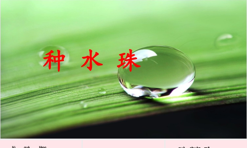 一年级语文下册 第2课《种水珠》课件1 鄂教版-鄂教版小学一年级下册语文课件
