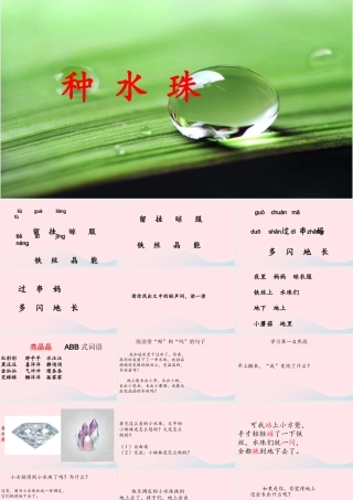 一年级语文下册 第2课《种水珠》课件1 鄂教版-鄂教版小学一年级下册语文课件
