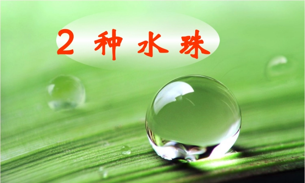 一年级语文下册 第2课《种水珠》课件2 鄂教版-鄂教版小学一年级下册语文课件