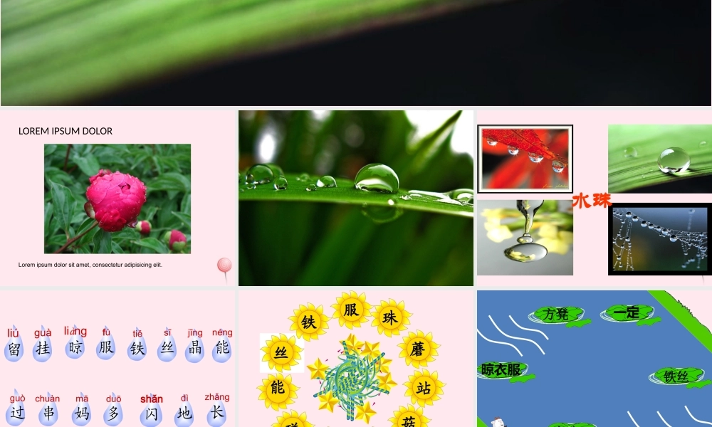 一年级语文下册 第2课《种水珠》课件2 鄂教版-鄂教版小学一年级下册语文课件