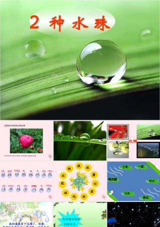 一年级语文下册 第2课《种水珠》课件2 鄂教版-鄂教版小学一年级下册语文课件